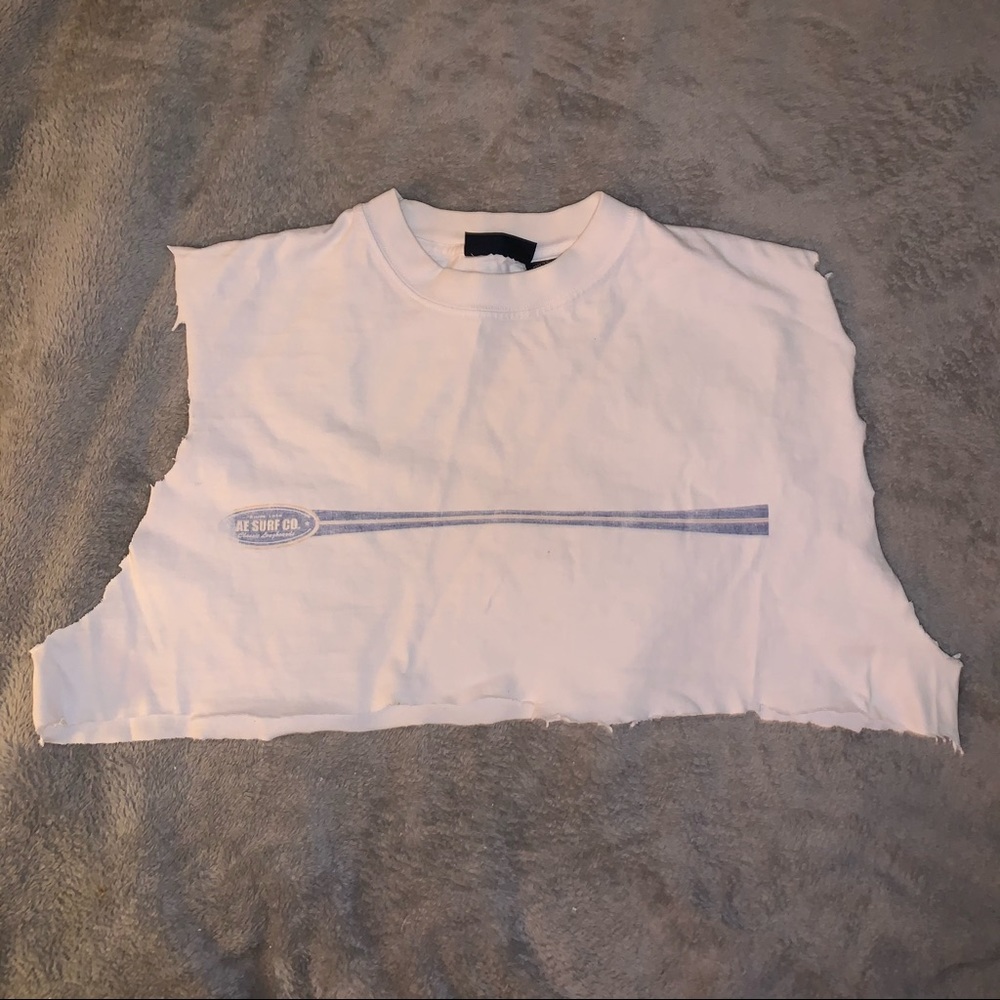 Vintage 90s Heavily Distressed AE Surf Crop Tank